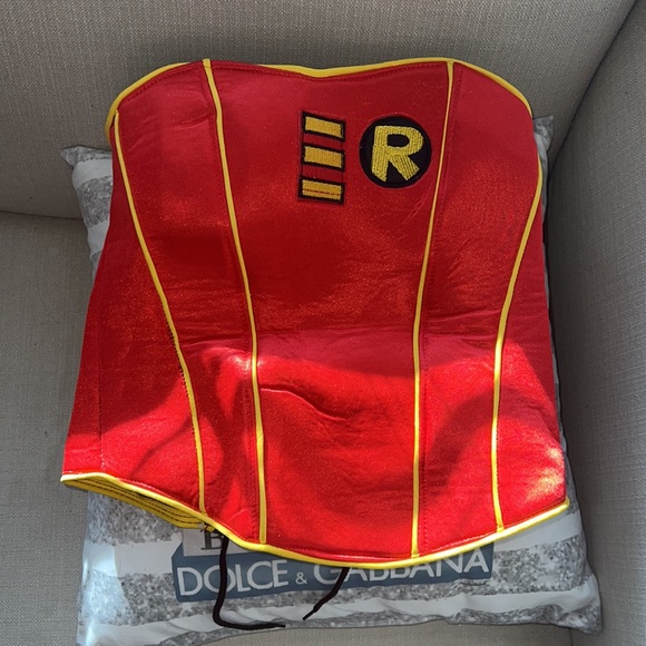 Batman and Robin Halloween Costume like new - Picture 6 of 9